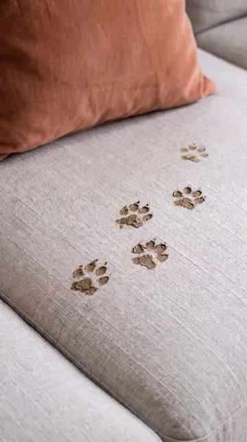 Muddy paw prints across a linen cushion